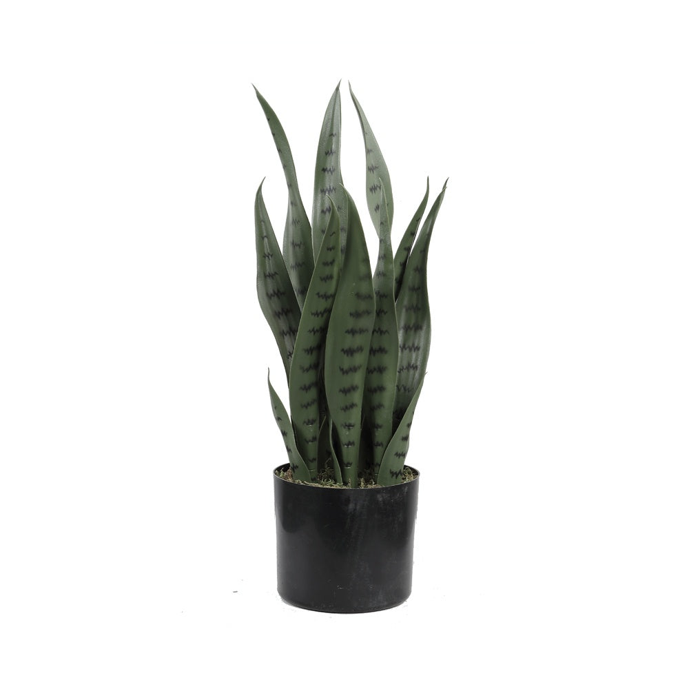 Artificial Sansevera Plant DVP 26-6