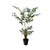 Artificial Fishtail Palm Tree DVP 322HVK02/P