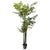 Artificial Fishtail Palm Tree DVP 322HVK05/P