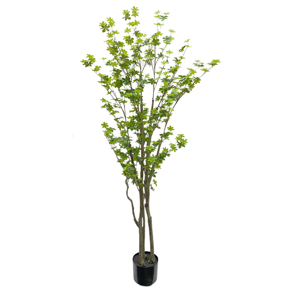 Artificial  Enkianthus Perulatus Tree DVP AL-1-210