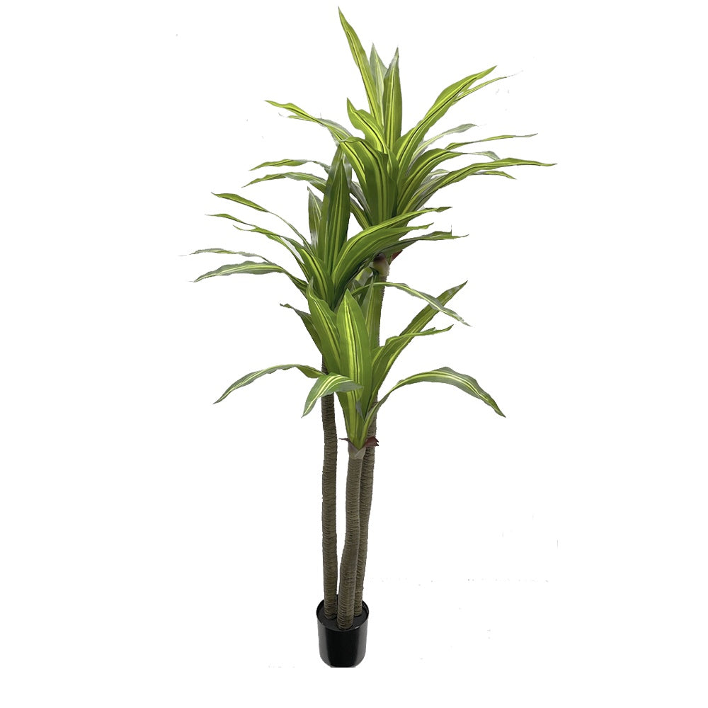 Artificial Brazilian Dracaena Tree DVP AL-10C-19053