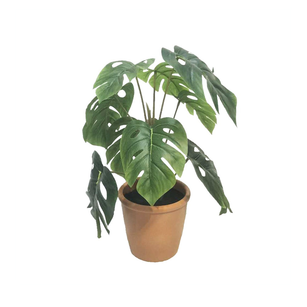 Artificial Monstera Plant DVP BS 1-9