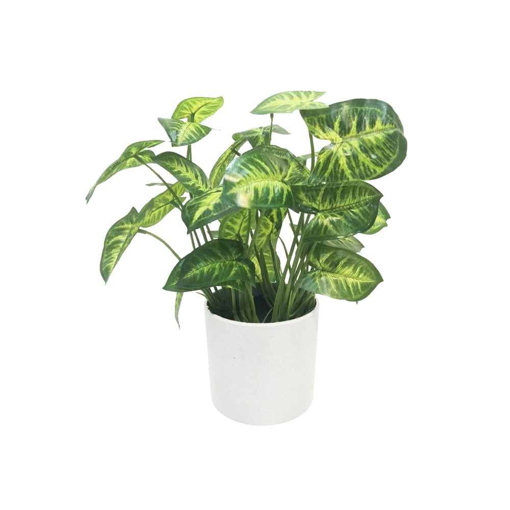 Artificial Arrowhead Plant DVP BS 2-4