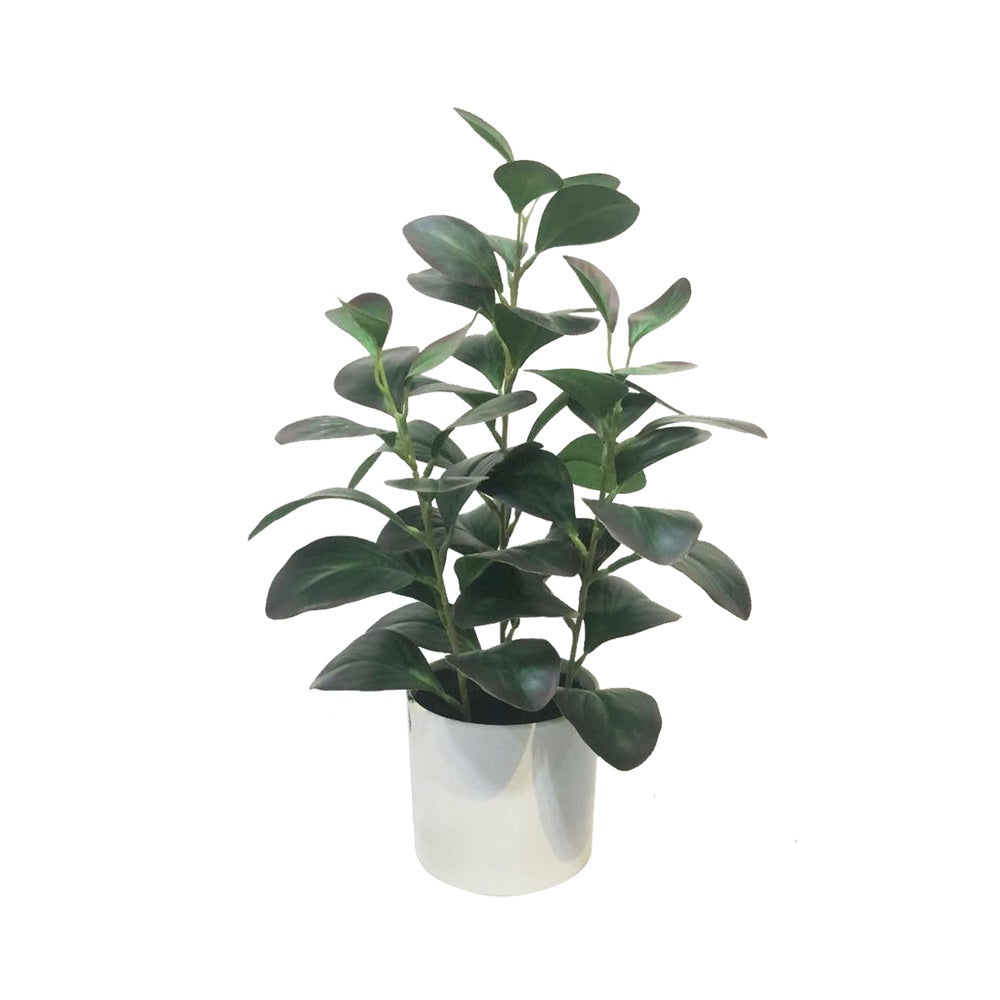 Artificial Radiator Plant DVP BS 2-5