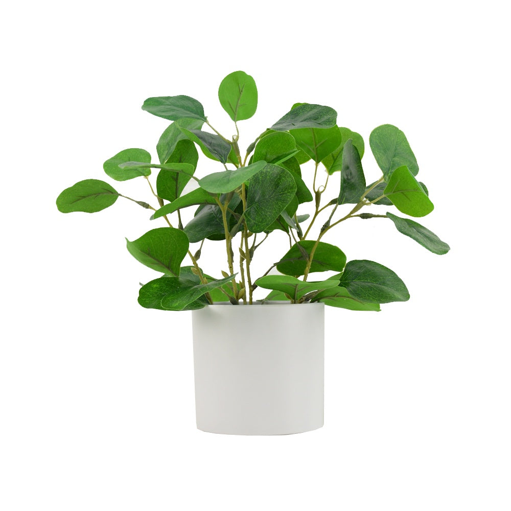Artificial Eucalyptus Plant DVP BS 2-8