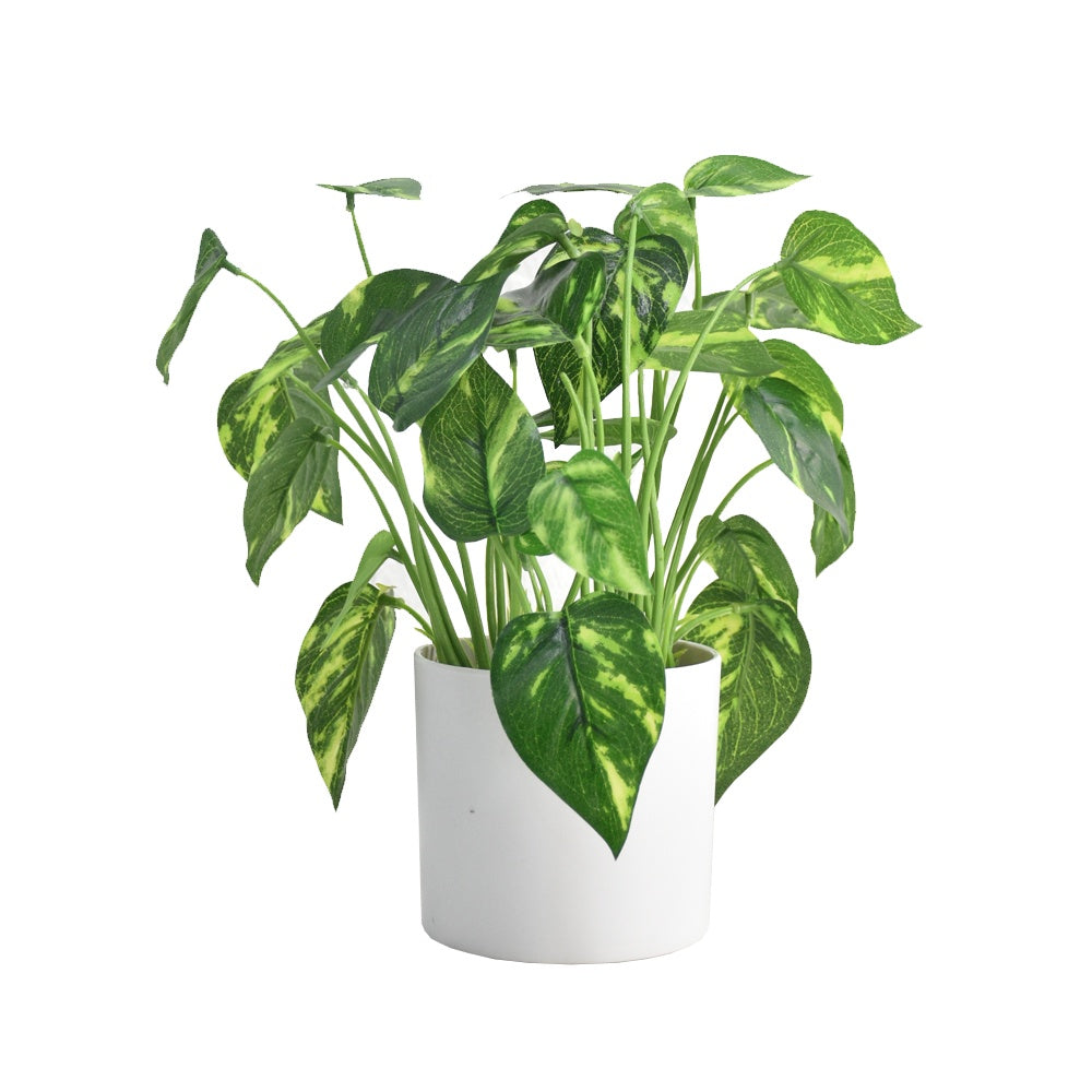 Artificial Ivy DVP BS 3-2