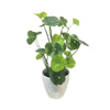 Artifiical Mini Lotus Leaf Plant DVP BS 3-3
