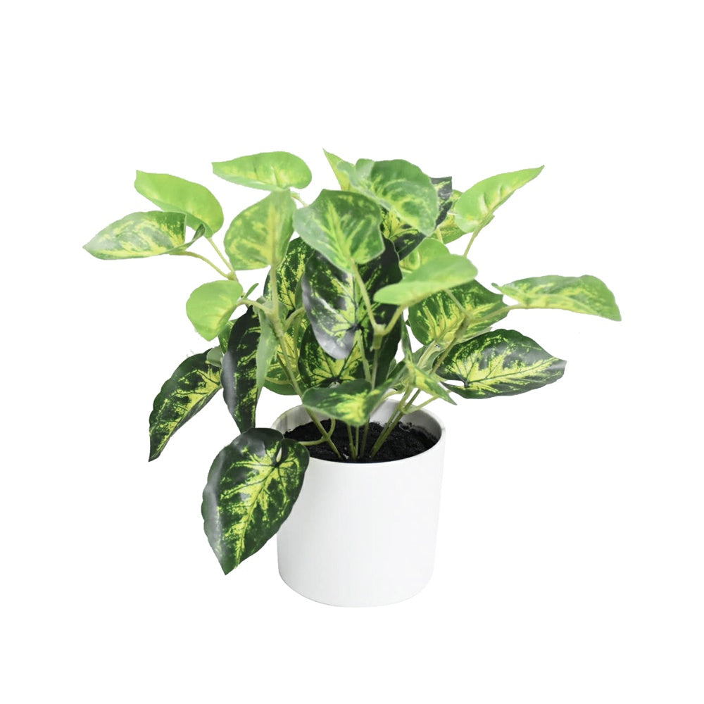 Artificial Devil's Ivy Plant DVP BS 3-5