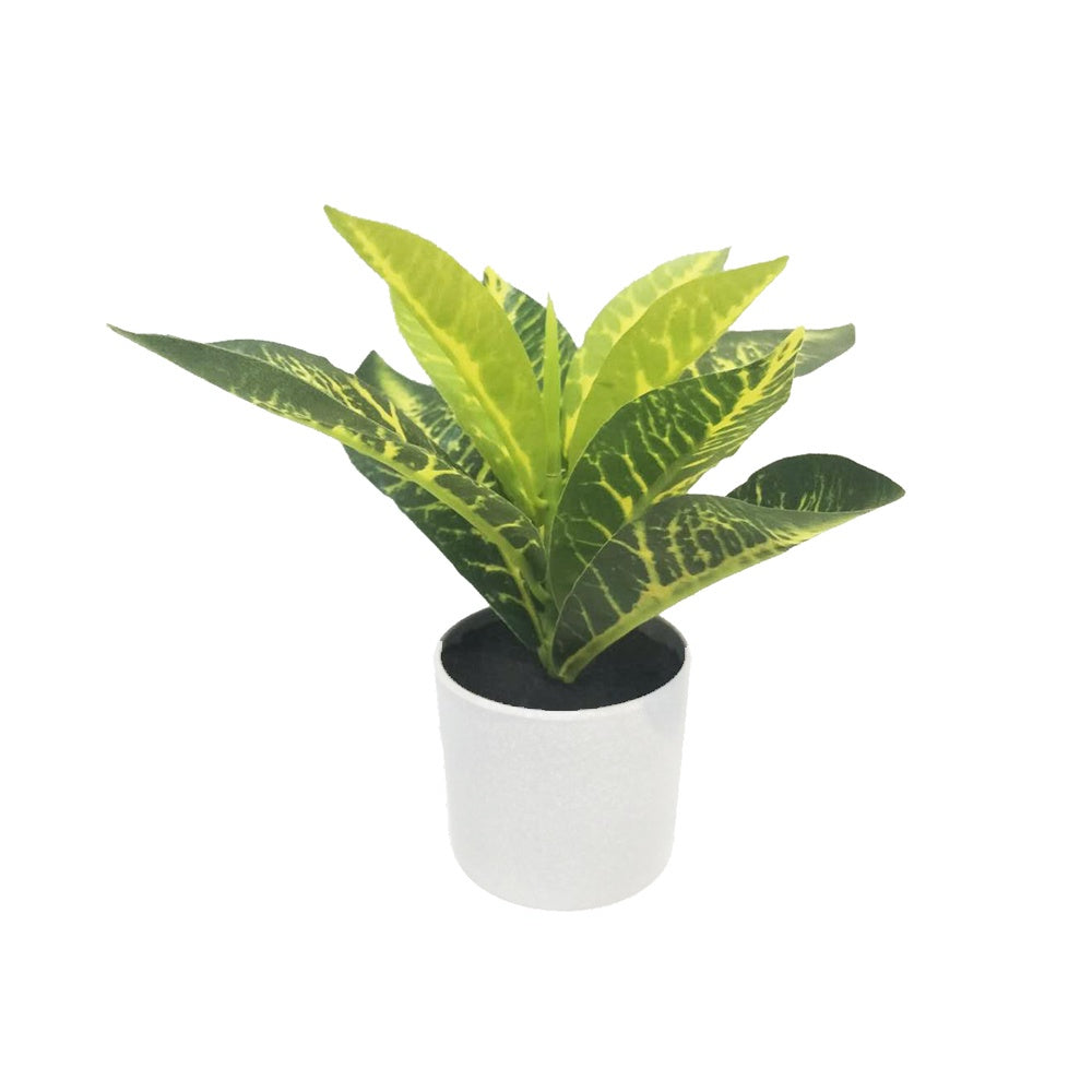 Artificial Croton Plant DVP BS 4-2