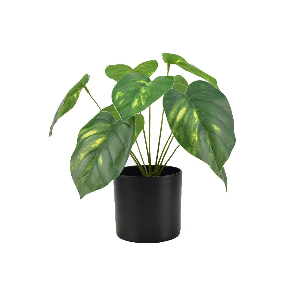 Artificial Arrowhead Plant DVP BS 5-3