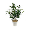 Artificial Olive Plant DVP BS 9-6