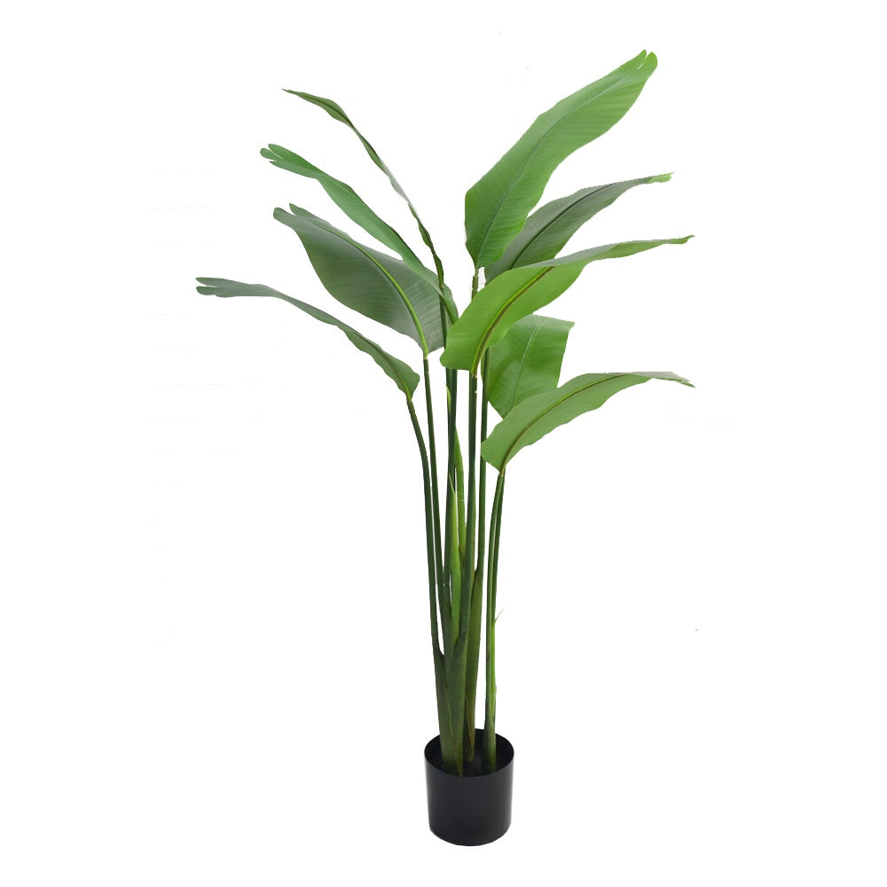 Artificial Strelitzia Tree DVP RD-BKTTN01-2