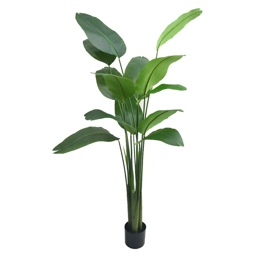 Artificial Strelitzia Tree DVP RD-BKTTN01-4