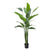 Artificial Strelitzia Tree DVP-RD-BKTTN01-5