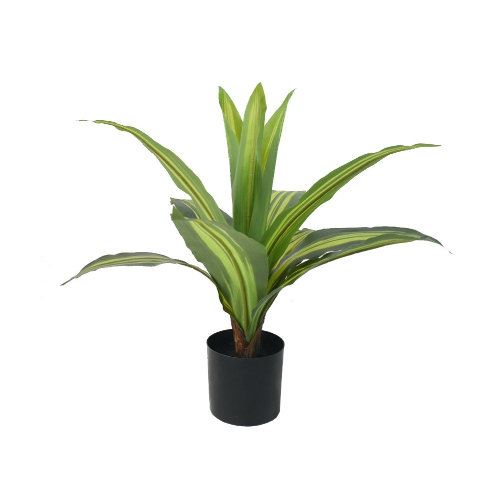 Artificial Dracaena Plant DVP RD-BXM033-1