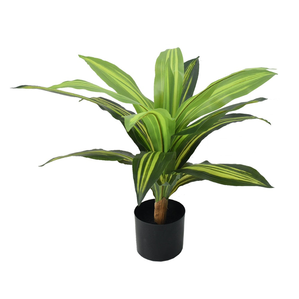 Artificial Dracaena Plant DVP RD-BXM033-3