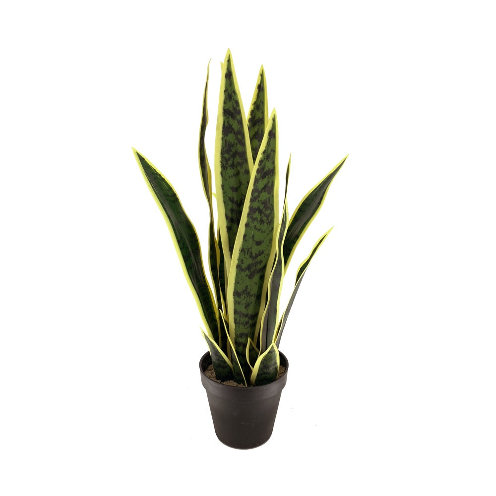 Artificial Variegated Sansevera Plant DVP-14-9