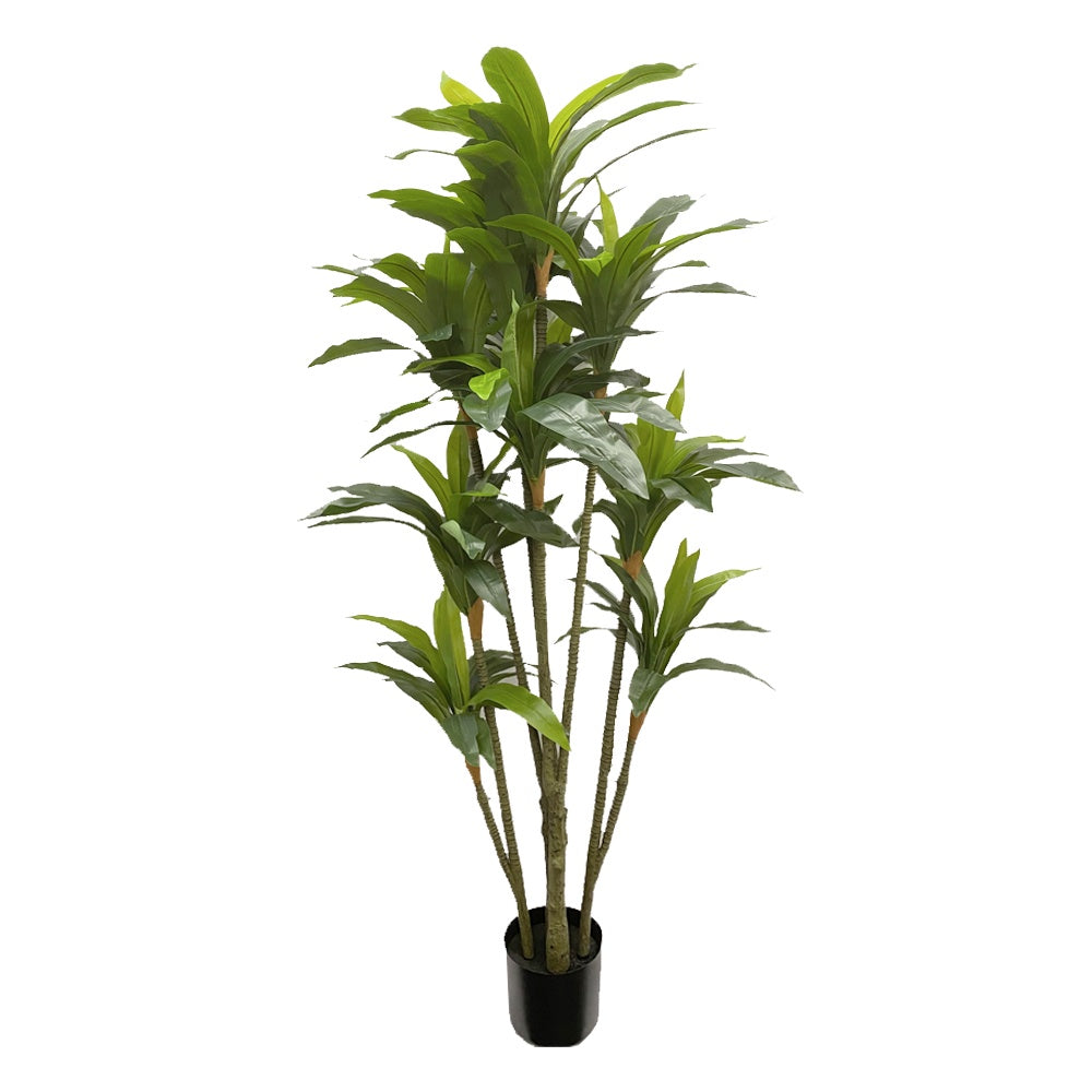 Artificial Brazilian Dracaena Tree DVP-AL-10B-180154