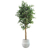 Artificial Ficus Tree DVP FB-210