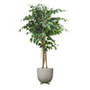 Artificial Ficus Tree DVP FR-150