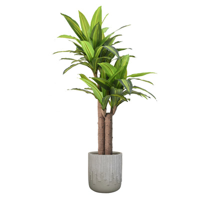 Artificial Dracaena Tree DVP RD-BXM033-4