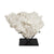 White Resin Coral Décor with Black Base FC-SZ23032