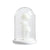 White Jellyfish in Glass Cloche FC-SZ23041B