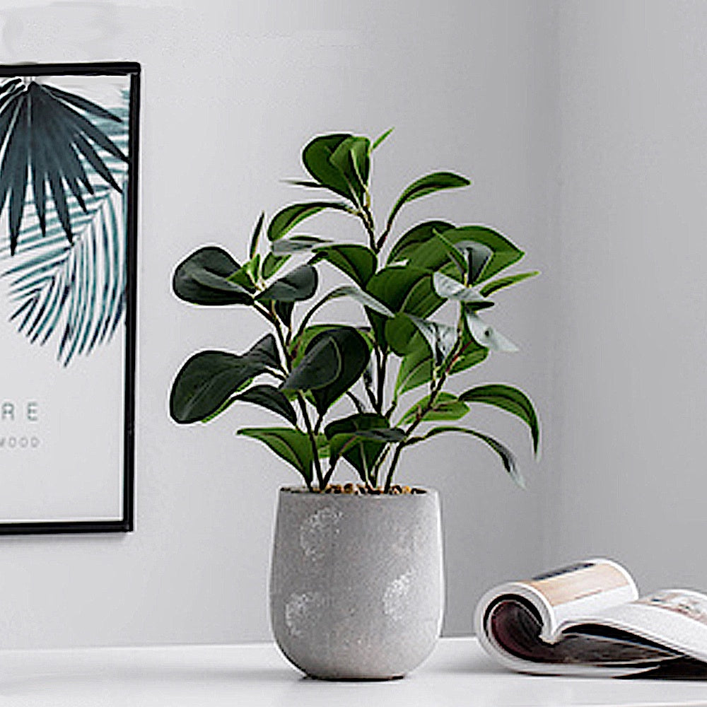 Faux Plant in Concrete Planter HLLZ001