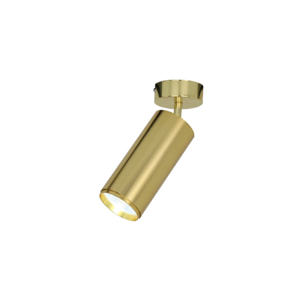 Anton Single Spot Light - Gold I-P-L-P088-G