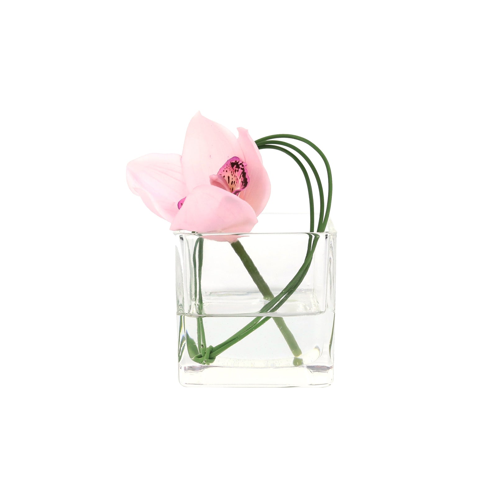 Light Pink Mini Artificial Cymbidium Arrangement in Square Vase - Large IHR-CYM116-LP