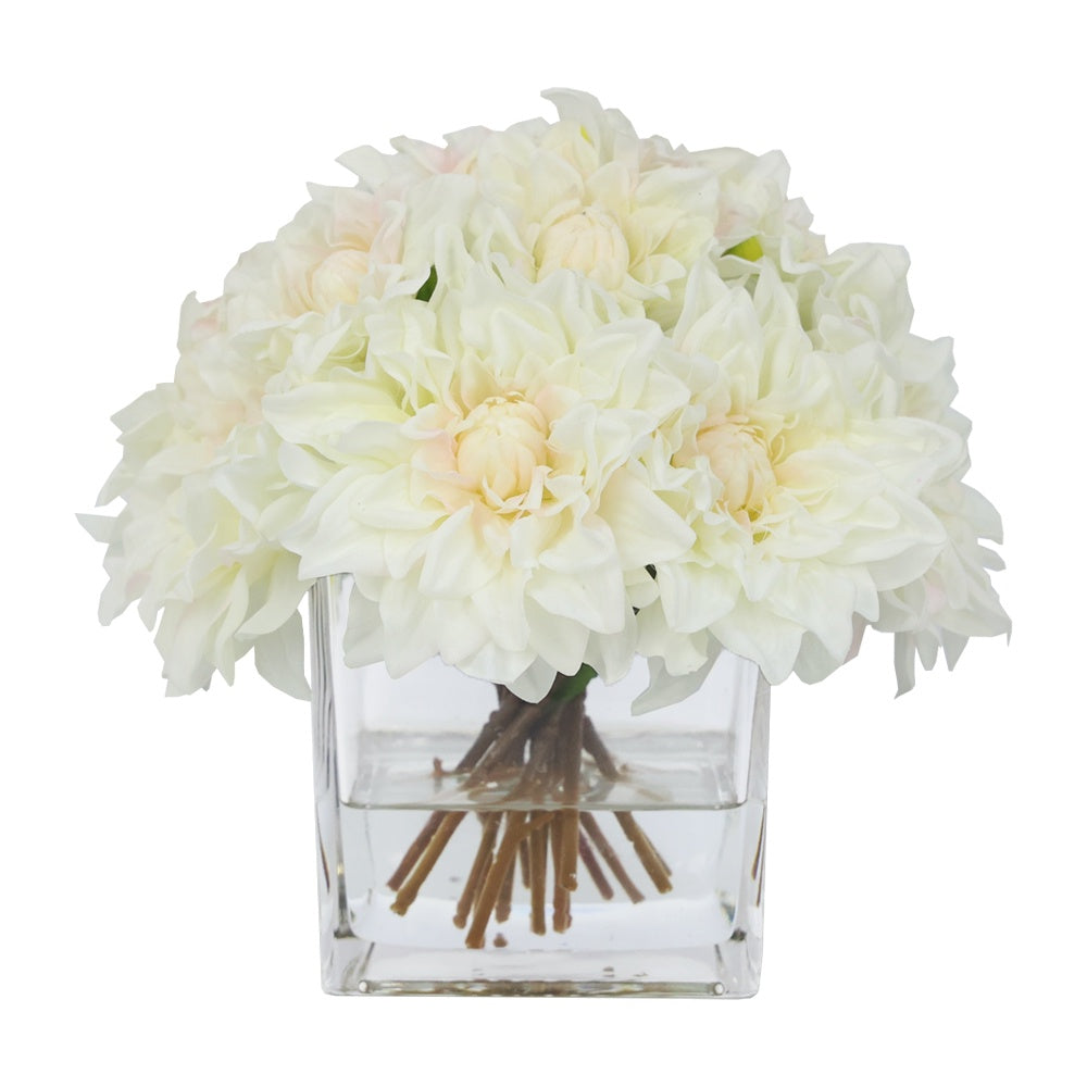 Cream Artificial Dahlia Arrangement in Glass Square Vase -  Large IHR-DAH101-CR-L