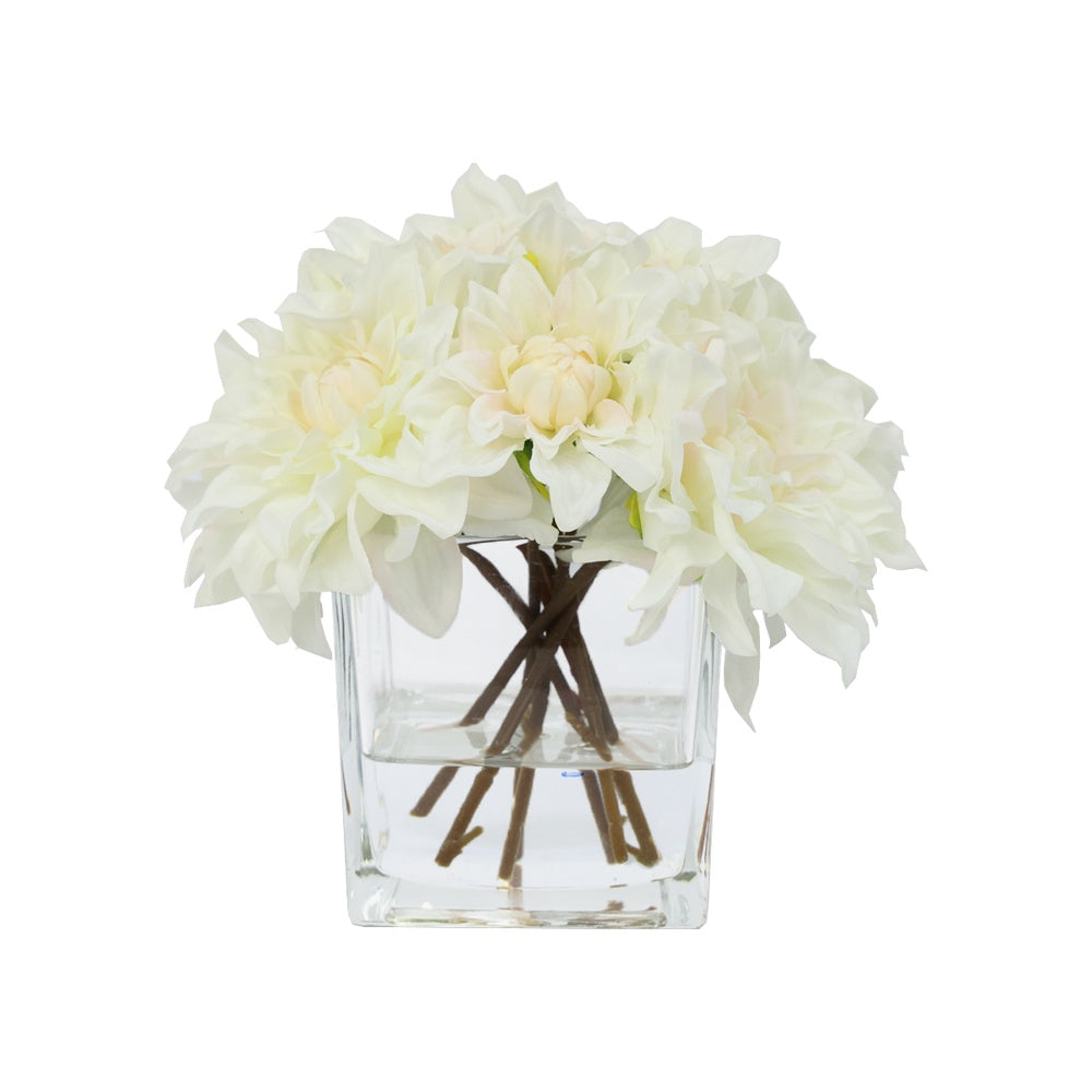 Cream Artificial Dahlia Arrangement in Glass Square Vase - Medium IHR-DAH101-CR-M