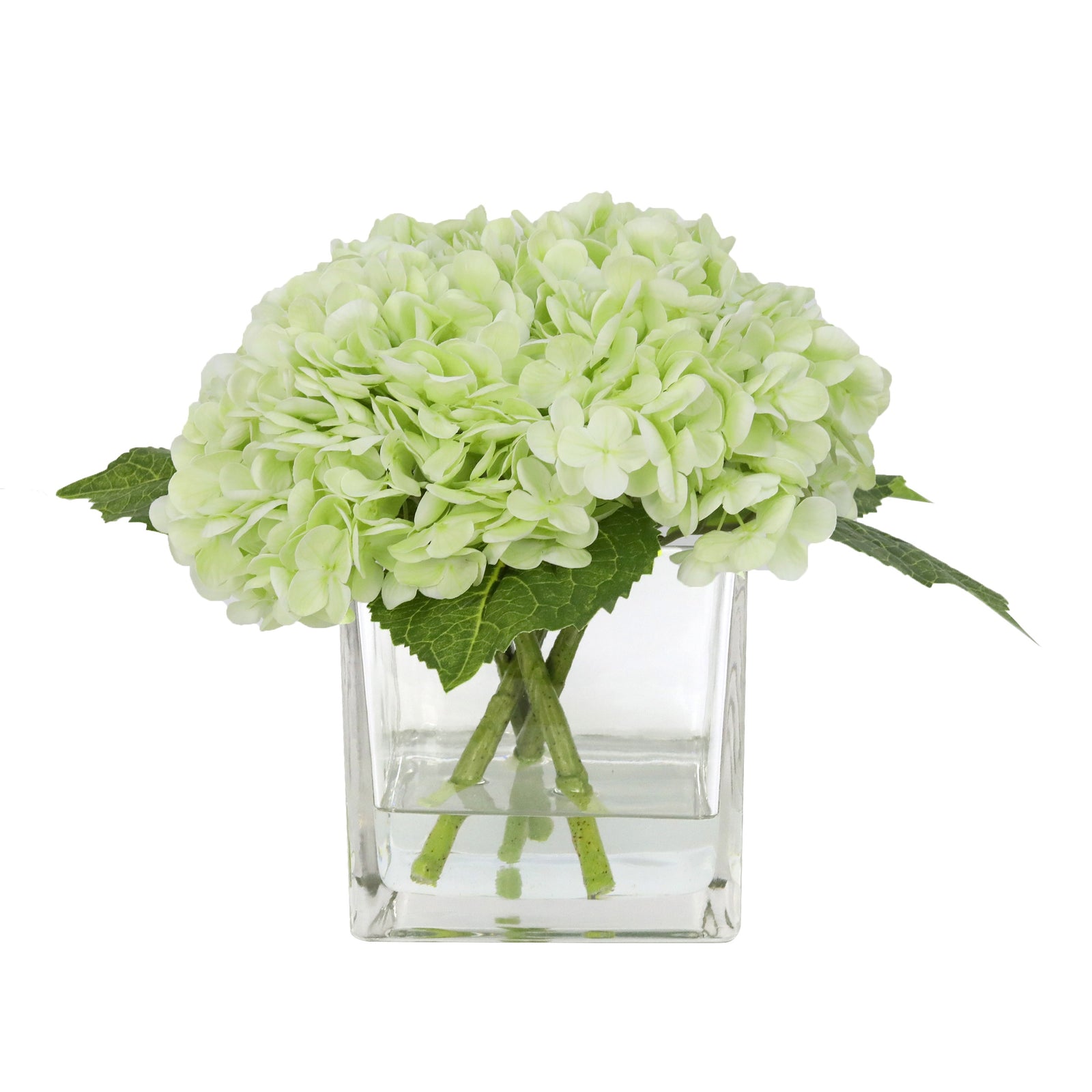 Light Green Artificial Hydrangea Arrangement in Square Vase - Large IHR-HYD020-LG-L