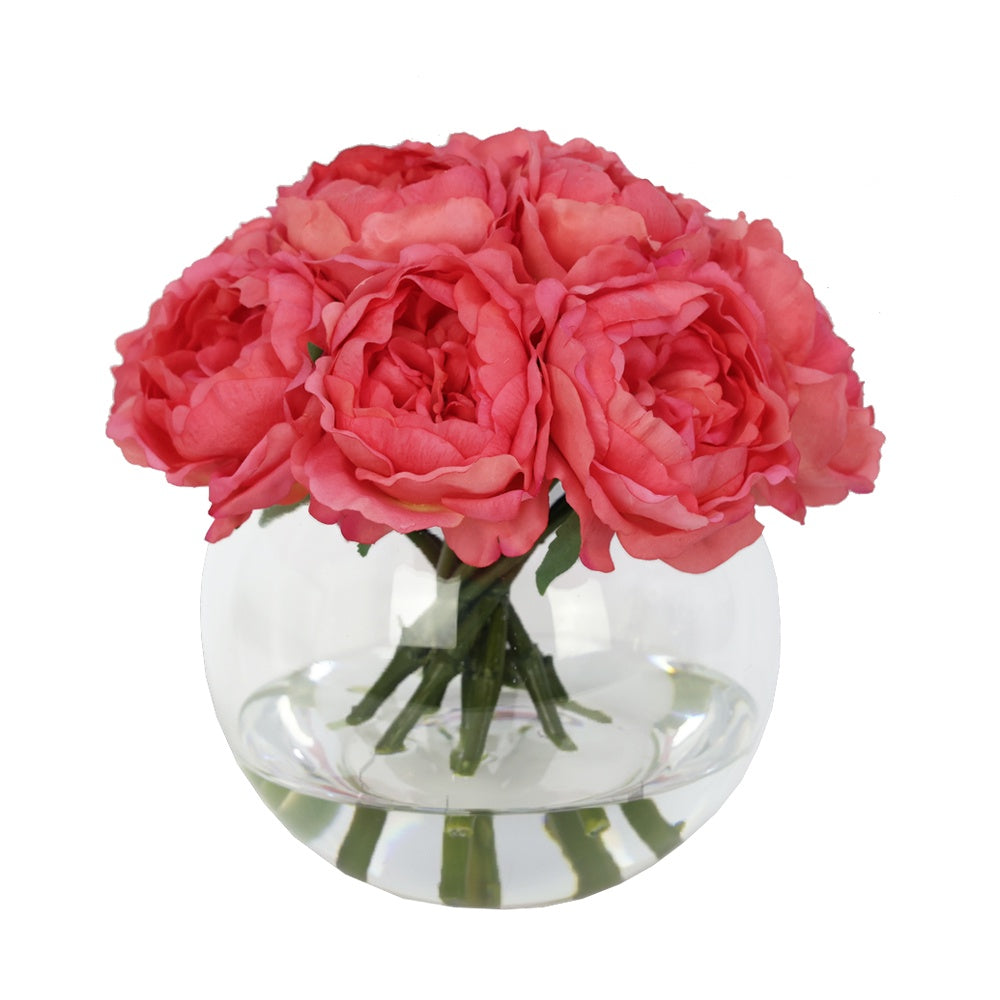 Coral Artificial Austin Rose Arrangement in Glass Globe Vase - Large IHR-PEO110-CRL