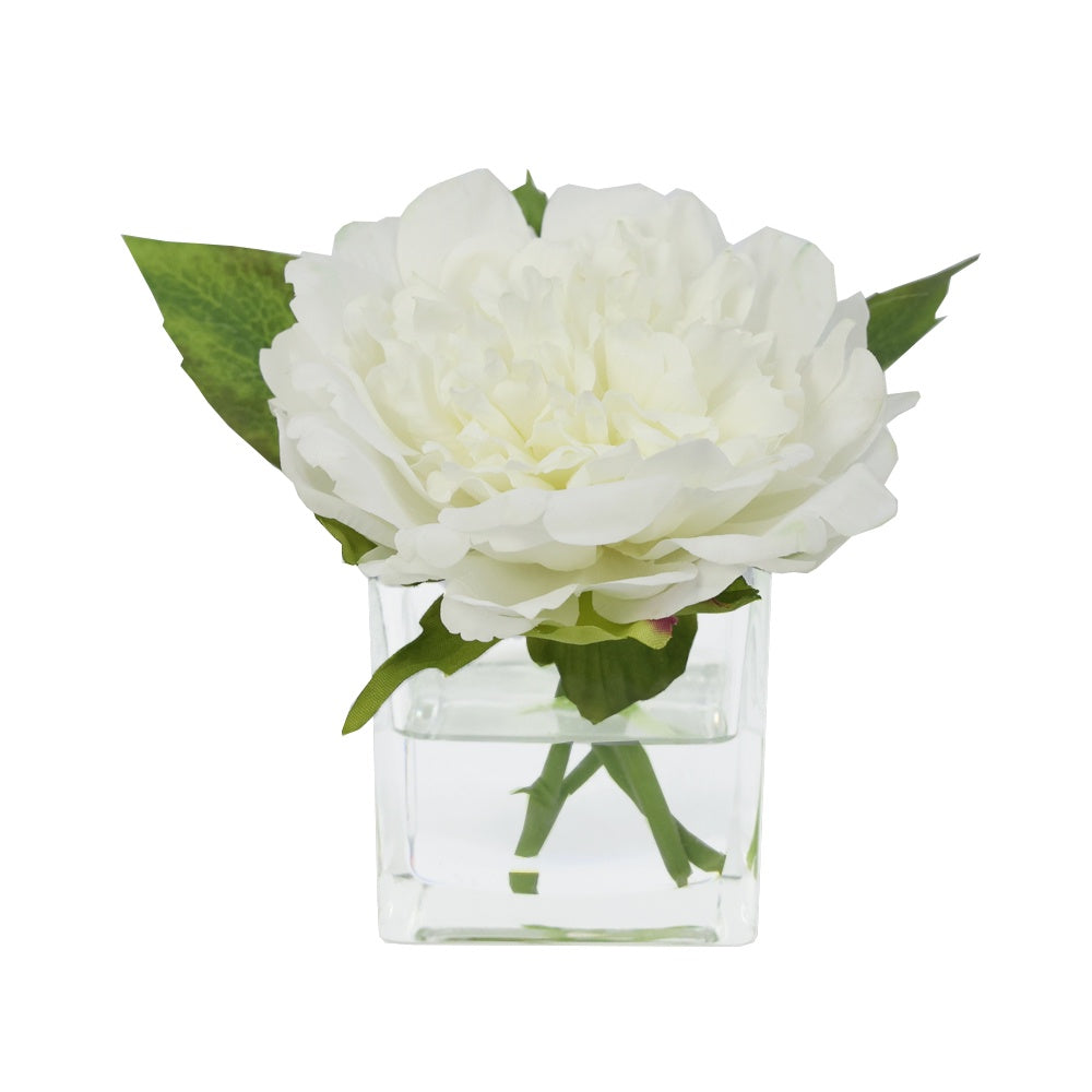 White Artificial Peony Arrangement in Glass Square Vase - Small IHR-PEO113-W