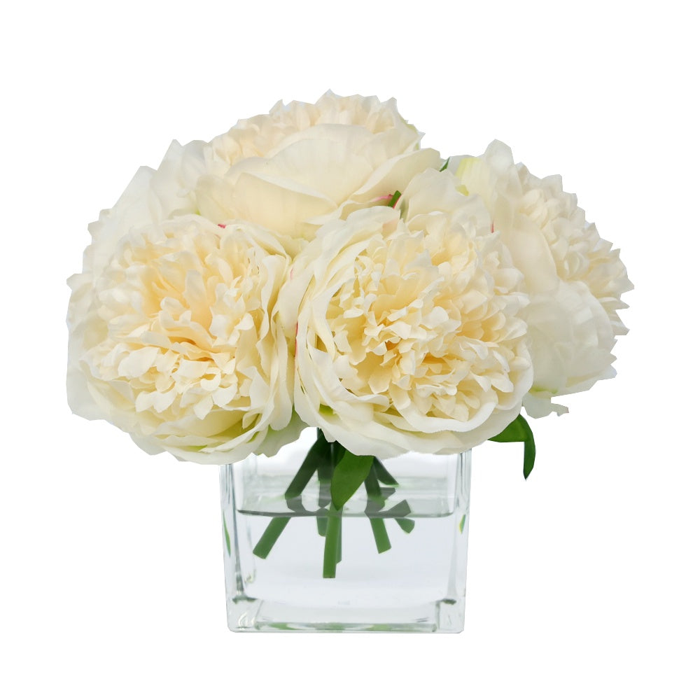 Champagne Artificial Peony Arrangement in Glass Square Vase - Small IHR-PEO114-CH-S