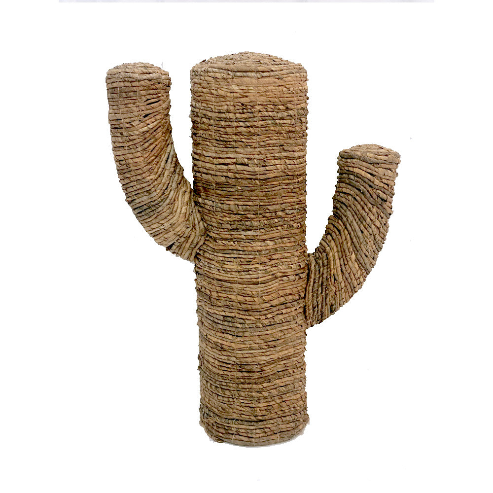 Banana Fiber Cactus Sculpture MRC231