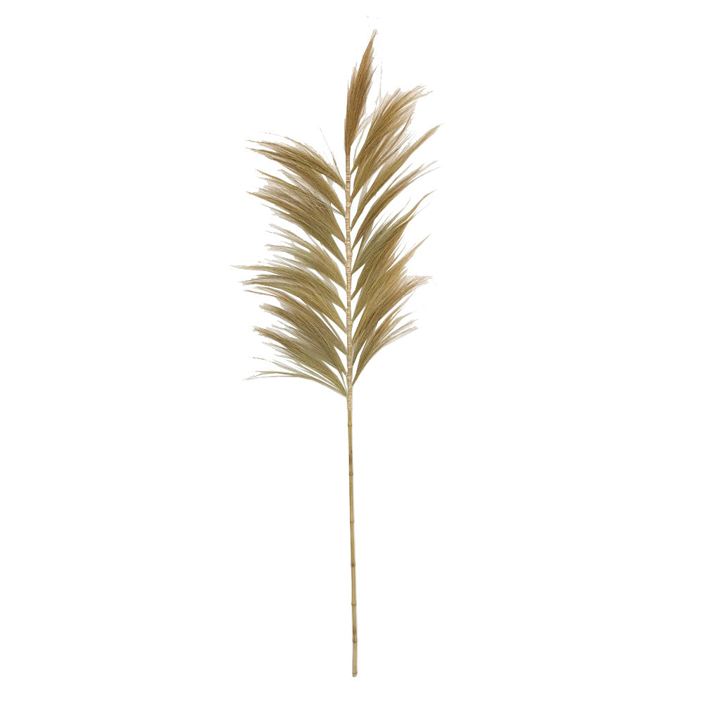 Dried Leaf MRC246-B