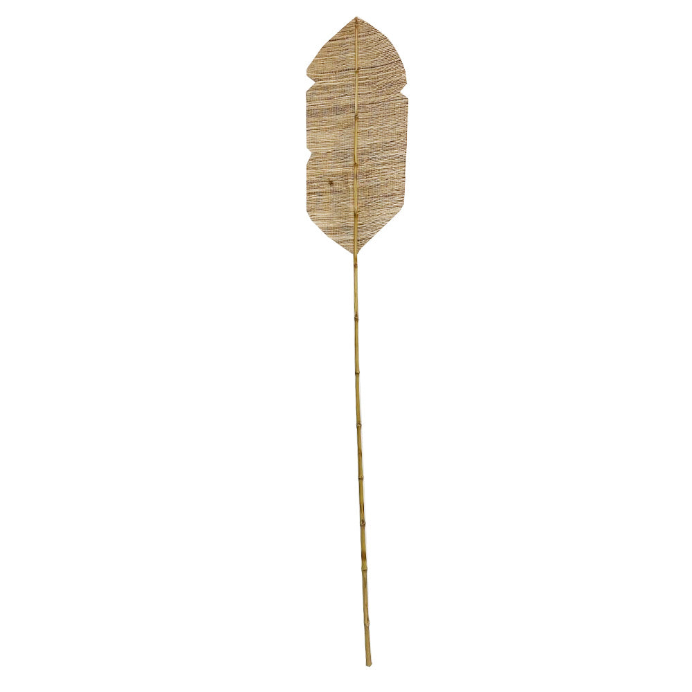 Dried Leaf MRC246-C
