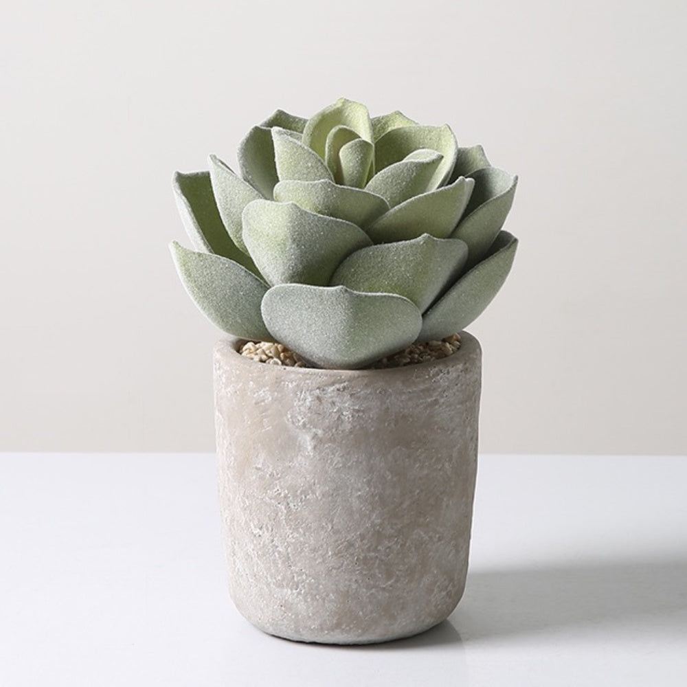 Artificial Potted Succulent P02795