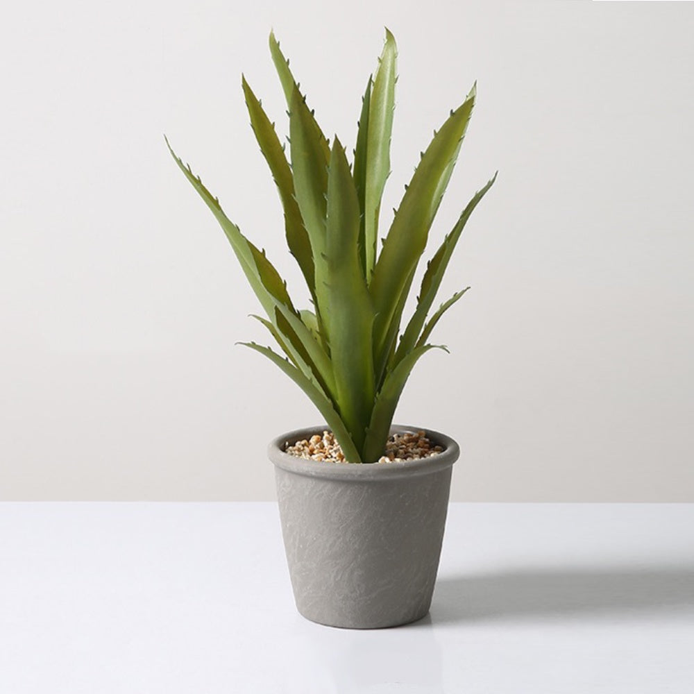 Artificial Potted Succulent P03626
