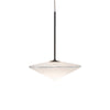 Ivy Pendant Light - A P1257-A