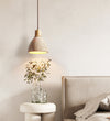 Raymond Pendant Light P1922