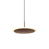 Deryn Pendant Light I-PL-27-22