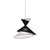 Wynter Pendant Light - Black & White I-PL-2022-05BW