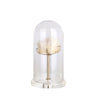 Spar Décor in Glass Dome - Small FL-YF048C