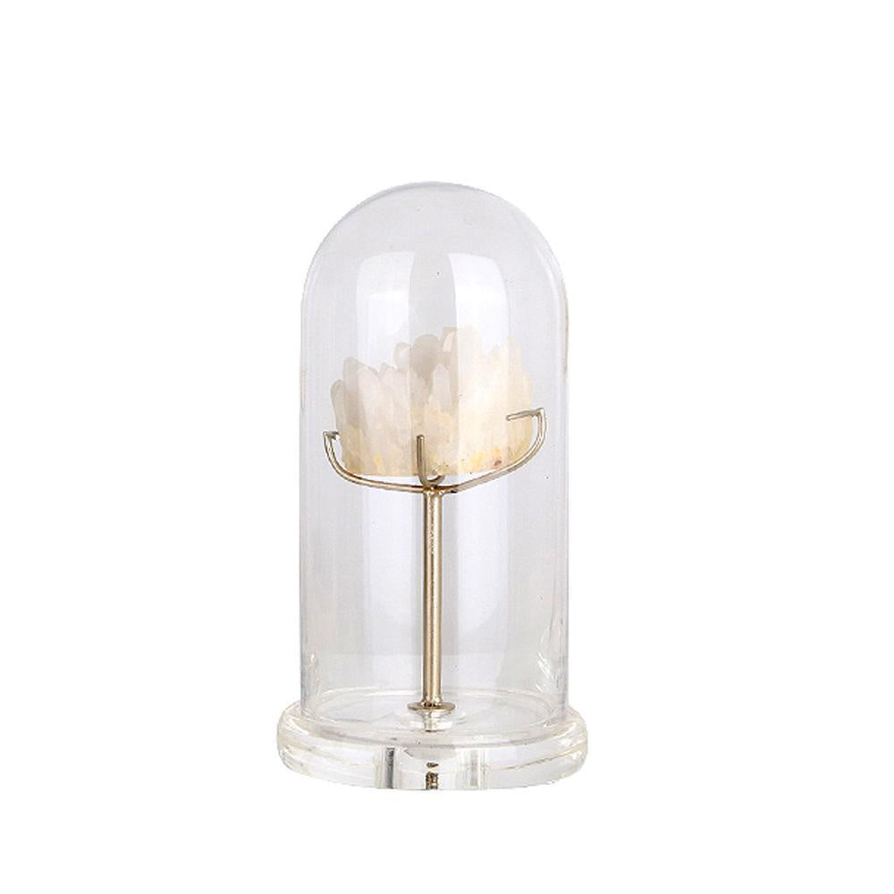Spar Décor in Glass Dome - Small FL-YF048C