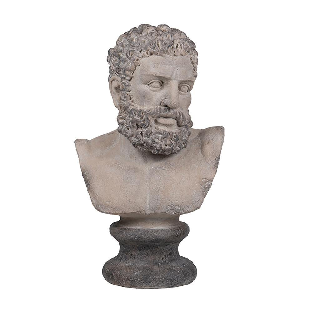 Hercules Bust D77552