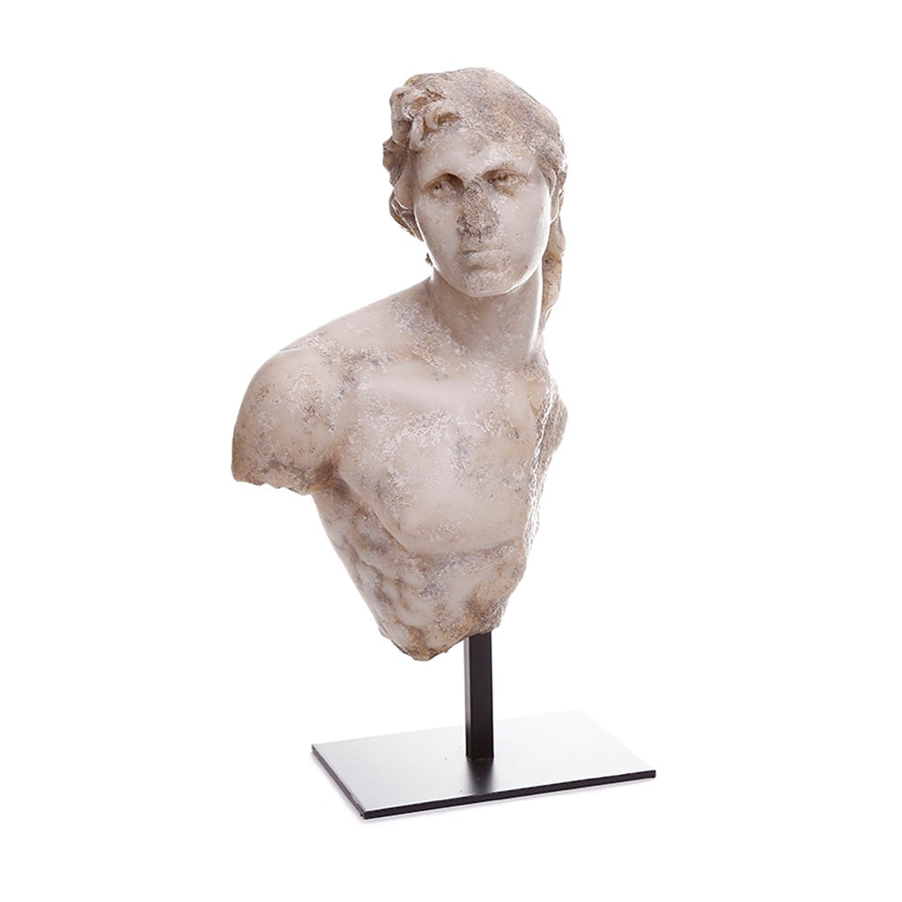 Resin Greek Bust W8000-1101A