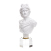 White Resin Greek Bust on Crystal Base W8000-1151 White